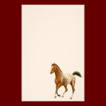 Young Appaloosa Horse Stationery stationery