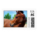 Young Arabian postage by scgirl2000 Young Arabian postage