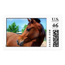 Young Arabian postage by scgirl2000 Young Arabian postage