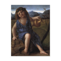 'Young Bacchus' Postcards