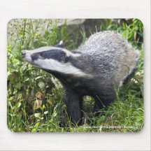 Young Badger Mousemat