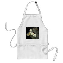 Young barn-owls, 9 weeks old apron
