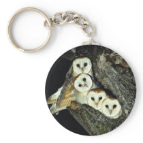 Young barn-owls, 9 weeks old keychain