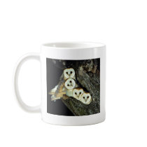Young barn-owls, 9 weeks old coffee mugs