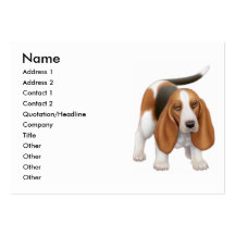 Young Basset Hound Business Card