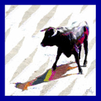Young brave bull  posters