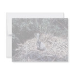 Young Brown Pelican in Nest Personalized Invitation