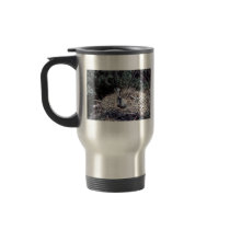 Young Brown Pelican in Nest Mugs