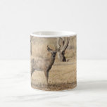 Young Buck Mug