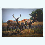 Young Bull Elk Placemat placemats