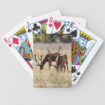 Young Bull Elk Playing Cards playing cards