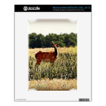 Young Bull Elk Skin For The NOOK