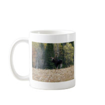 Young Bull Moose mugs