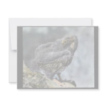 young California condor Custom Invitation