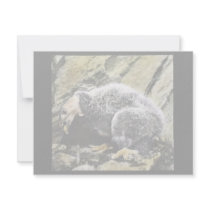 Young California condor Custom Invite