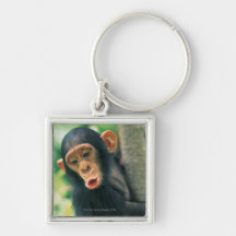 Young Chimpanzee (Pan troglodytes) Key Chains