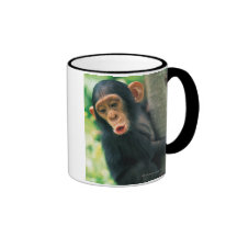 Young Chimpanzee (Pan troglodytes) Mug