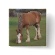 young Clydesdale buttons