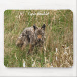 Young Coyote in Long Grass Wildlife Mousepad