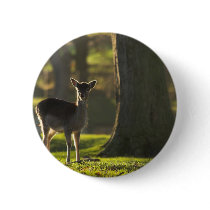 Young Deer Button Badge