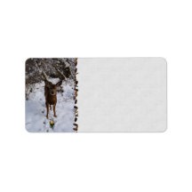 Young Deer In Winter Personalized Address Label