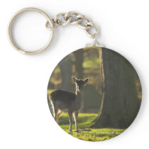 Young Deer Keychain/Keyring