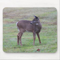 'Young Deer' mousepads