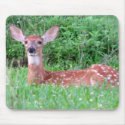 Young Deer mousepads by sexycher Young Deer mousepads