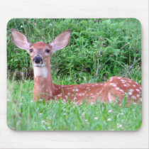 Young Deer mousepads