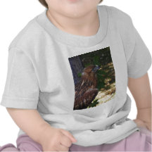 Young Eagle Tees