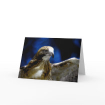 Young eagles fly away(card) by nefera Young eagles fly away(card)