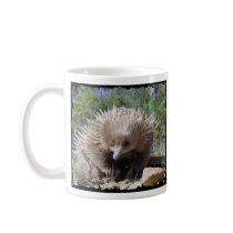 Young Echidna - Mug - Australia