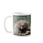 Young Echidna - Mug - Australia