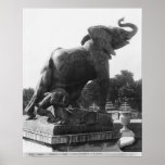 Young Elephant caught in a trap Print