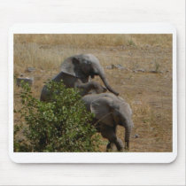 Young Elephants horsing around, Etosha mousepads
