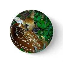Young Fawn Button