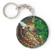 Young Fawn Keychains