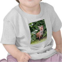 Young Fox 1 T-shirts