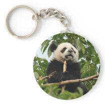 Young giant panda - key chain keychains