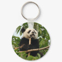 Young giant panda - key chain keychains