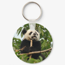 Young giant panda - key chain keychains