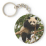 Young giant panda key chain Young giant panda key chain