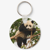 Young giant panda keychains