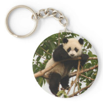 Young giant panda keychains