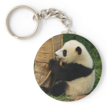 Young giant panda keychains