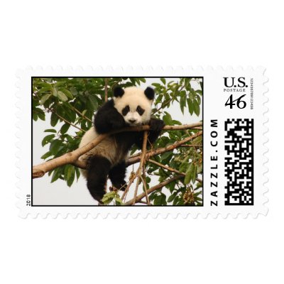 Young giant panda postage stamps