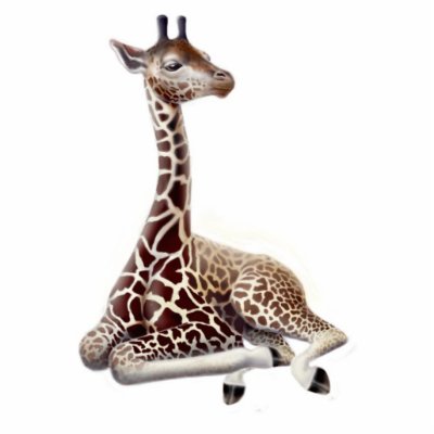 Young Giraffe Holiday Ornament Photo Sculpture by twopurringcats