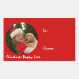 Young Girl & New Puppy at Christmas Stickers