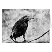 Young Grackle, Father's Day Cards