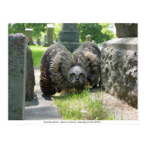 Young Great Horned Owl posters by phexus Young Great Horned Owl posters